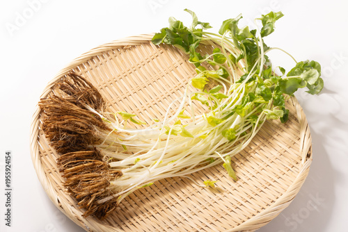 （岩手県産）根みつば