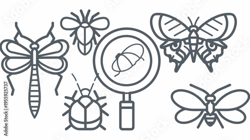 Graphic outlines of insects and magnifying glass in gray on a white background