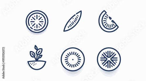 Six simple, outlined icons of fruits and a small plant on a white background