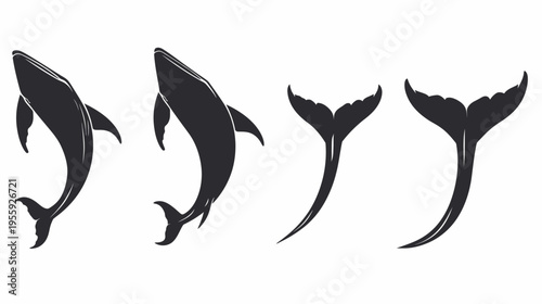 Silhouetted whales and tails, artistic drawing