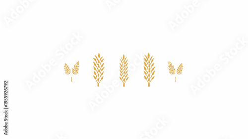 Five golden wheat stalks are arranged on a white background in a symmetrical pattern