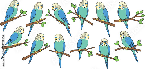 Budgerigar Parrot Vector Set with Cute Blue and Green Birds on Branches, Pet Bird Illustrations for Nature, Wildlife, and Animal Design Projects
