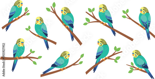 Budgerigar Parrot Illustration Set with Blue and Green Birds on Tree Branches, Cute Pet Bird Artwork for Nature, Wildlife, and Animal Design