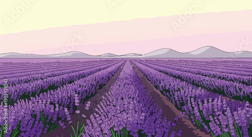 A tranquil digital illustration showcasing vast, parallel rows of vibrant purple lavender flowers extending towards soft, rolling hills beneath a