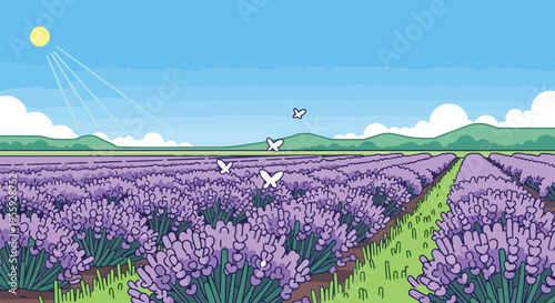 Vibrant lavender field illustration under a bright sun with white butterflies peacefully fluttering over purple blooms and distant green hills on a