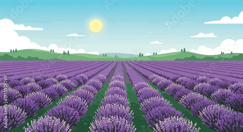 Vast vibrant lavender fields stretching towards distant green hills under a clear blue sky and warm sunshine