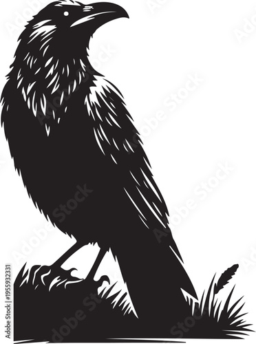 Majestic raven perched confidently on a rocky surface with sharp focus on its beak and feathers Vector, illustration