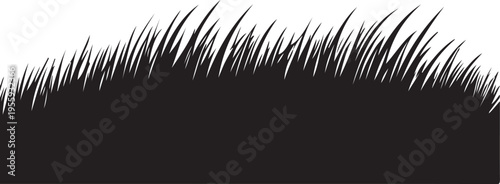 Abstract black and white brushstroke texture on a dark background Vector, illustration