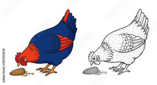 Colorized and Outline Chicken Eating Corn Kernels Isolated on White Background
