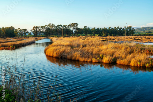 Obraz na plátně Water Channel and Reeds at Gialova Lagoon Wetland in Greece