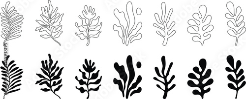 Botanical leaf silhouette set with organic branch shapes in outline and solid style. Minimal nature elements perfect for branding, packaging, logos, and modern decorative design projects.