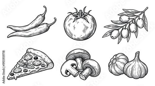 Hand drawn pizza ingredients vector set. Vintage sketch illustration of tomato, mushroom, olive, garlic, and chili for menu, restaurant branding, or food packaging.