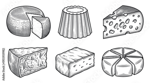 A collection of various cheese types in a vintage hand drawn engraving style. Perfect for menus, packaging, or farm product branding. Black and white vector set.