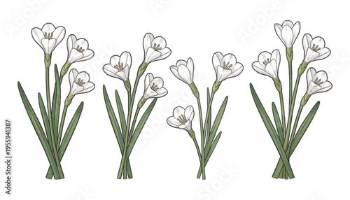 White Flower Bouquet Illustration Vector, Elegant Floral Design for Wedding Invitations and Greeting Cards