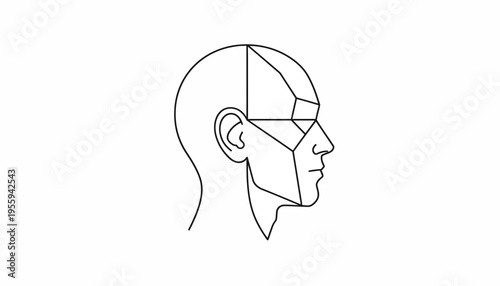 Head Anatomy Diagram, Geometric Construction, Side View, Artistic Study