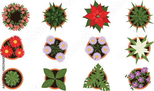 Top-down illustration of twelve diverse potted plants with flowers and succulents arranged in grid, symbolizing gardening, nature, decoration, plant design, and creative artwork projects