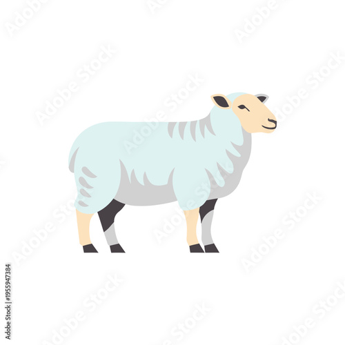 Sheep Illustration of Standing Ram Cartoon Style Image