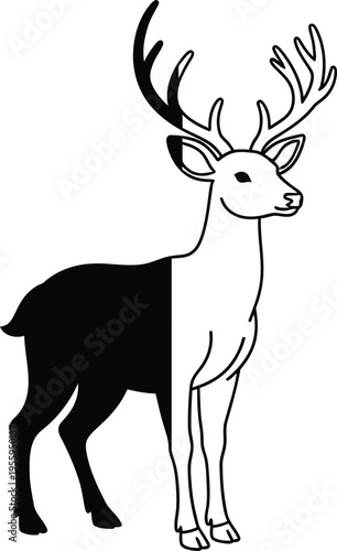 Black and white deer with antlers standing alone Vector