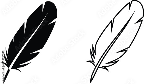 Black and white feather illustration Vector