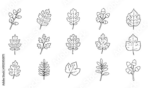 Autumn Falling Leaves Outline Icons