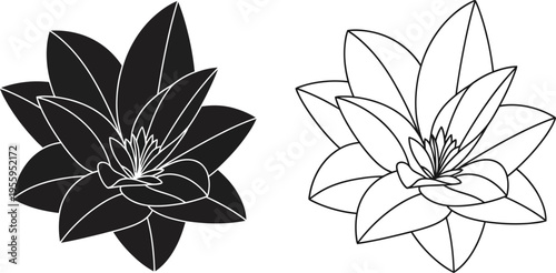 Black and white lotus flowers with outline Vector