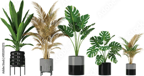 Vector illustration set of five diverse indoor houseplants including monstera deliciosa and tropical palms in modern gray and black decorative pots for interior decor