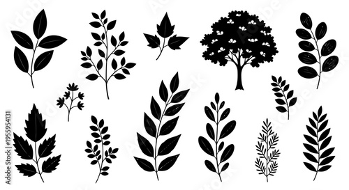 A collection of silhouettes of various leaves and trees against a white background.