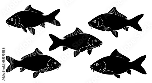 A group of five black fish silhouettes against a white background.