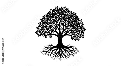 A simple black and white illustration of a tree with visible roots