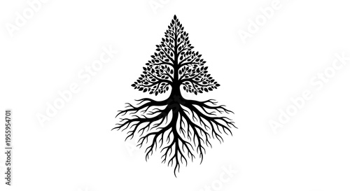A simple black and white illustration of a tree with visible roots.