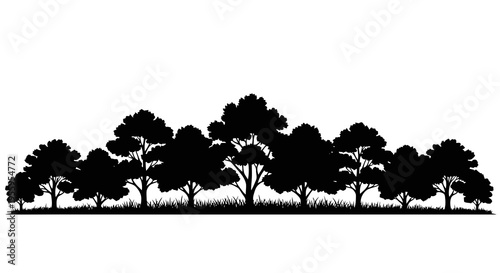 A row of trees silhouetted against a white background creating a serene landscape.