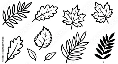A collection of simple black and white leaf illustrations in various shapes and sizes.