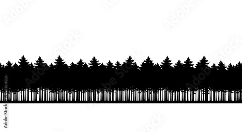 A dense forest with tall trees silhouetted against a white background.