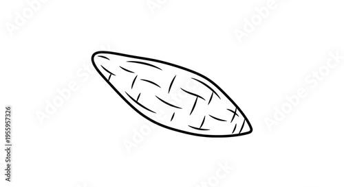 Simple Line Drawing of a Single Almond on White Background