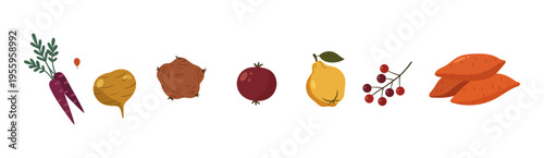 Vector illustration set of fresh vegetables including carrot, beetroot, onion, pomegranate, pear, berries, and sweet potato. Ideal for food design, healthy eating, agriculture, and organic products.