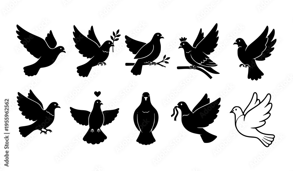 Fototapeta premium A set of black and white dove silhouettes in various flying poses