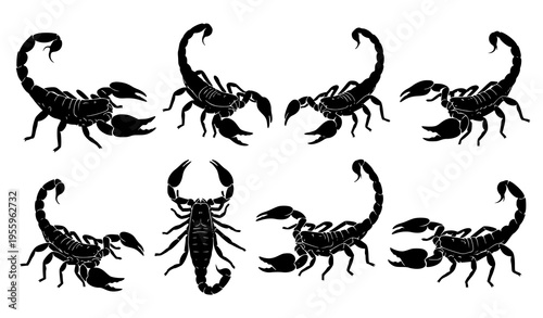 A set of black scorpion silhouettes on a white background