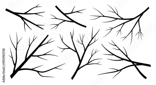 Black silhouettes of bare tree branches.