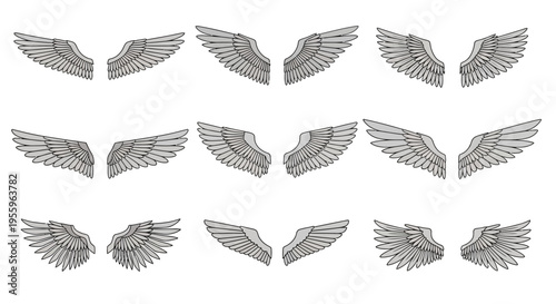 Collection of gray feathered angel wings.