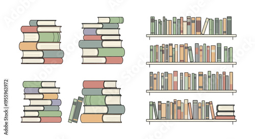 Stacks of Books on Shelves.