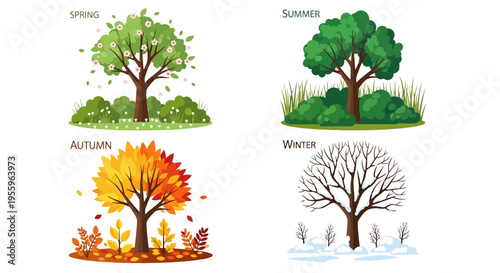 Tree changing seasons illustration.