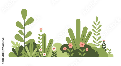 Variety of green plants and flowers.