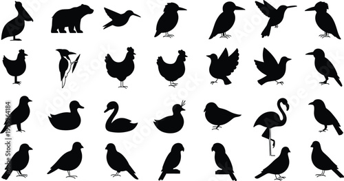 Bird and bear silhouette illustration set featuring diverse avian species, animal shapes, wildlife icons, educational design, and creative graphic artwork.