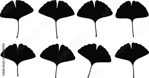 Ginkgo leaf silhouettes collection featuring botanical fan shaped foliage isolated vector set for nature design, herbal illustration and decorative plant graphics