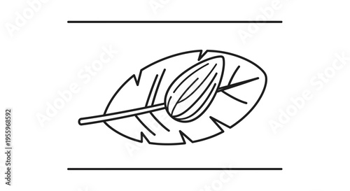 Almond on Leaf Icon: Healthy Food, Organic Ingredient, Natural Product