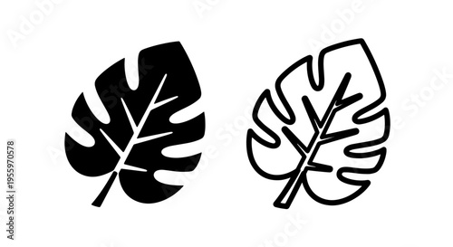 Monstera deliciosa tropical leaf icon set in solid and outline styles for botanical and jungle design