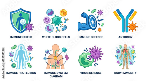 Vector graphics illustrate immune system components including shield, white blood cells, defense mechanisms, antibodies, and body immunity in a medical context.