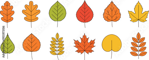 Autumn Leaves Collection with Various Shapes and Colors, Fall Season Leaf Illustration Set for Nature Design, Decoration, Seasonal Graphics, and Botanical Elements