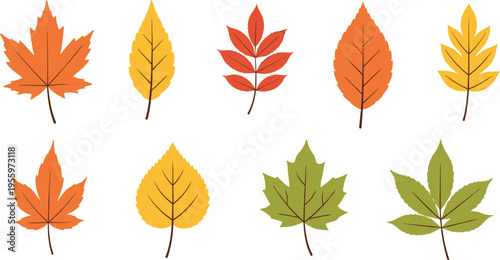 Autumn Leaf Illustration Set with Detailed Shapes and Warm Fall Colors, Seasonal Foliage Collection for Nature Design, Botanical Graphics, Decoration, and Eco-Themed Projects
