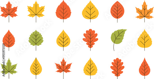 Colorful Autumn Leaf Set with Different Shapes and Styles, Fall Season Foliage Collection for Nature Design, Decoration, Botanical Illustration, and Seasonal Graphics